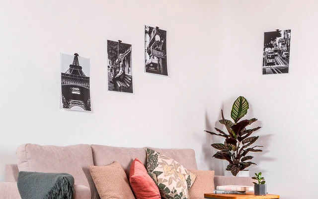 Silwy® Flex Magnethaken Inkl. Metall-Nano-Gel-Pads 5 Cm 8-tlg. Blau 9 Silwy® Flex Magnethaken Inkl. Metall-Nano-Gel-Pads 5 Cm 8-tlg. Blau – Bild 7