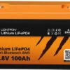 Liontron LiFeP04 Smart Bluetooth BMS Lithium Batterie 12,8 V / 100 Ah -Dometic Verkäufe 348695 2235583