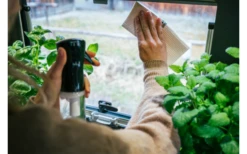 MikiGREEN Öko.Schwamm.Tücher 2er-Pack -Dometic Verkäufe 574939 3927991