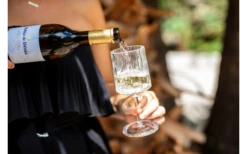 Berger Weinglas 2er Set -Dometic Verkäufe 594239 4331207