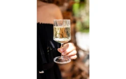 Berger Weinglas 2er Set -Dometic Verkäufe 690069 4697631