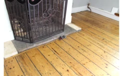 Swissinno Connect Super Cat Fangalarm Fangmelder Mit Bluetooth -Dometic Verkäufe 729803 5025846