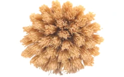 Origin Outdoors Reinigungsbürste Spülbürste Bambus Mit Naturfasern 5 Origin Outdoors Reinigungsbürste Spülbürste Bambus Mit Naturfasern -Dometic Verkäufe 746156 5037293